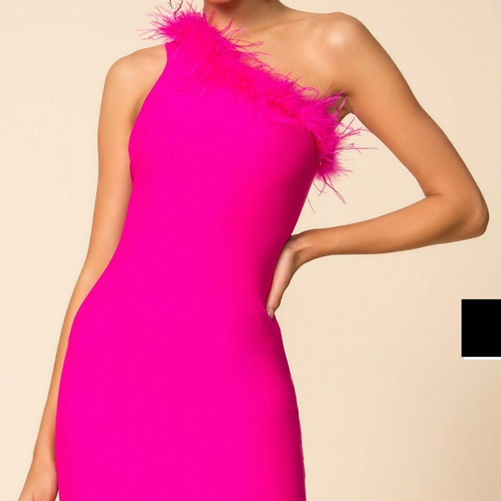 NWOT Superdown Pink Feather Dress